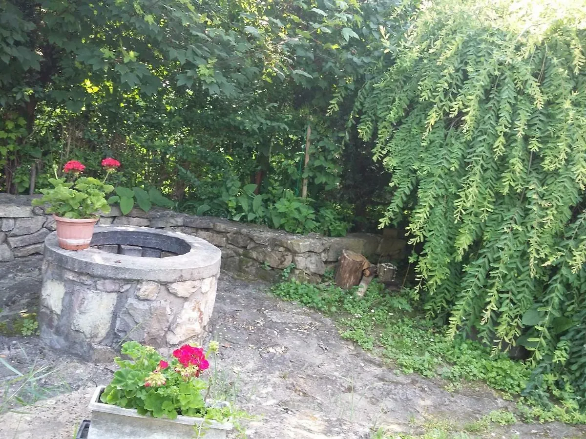 Bungalow a Szépasszonyvölgy közepén Appartamento Eger Ungheria